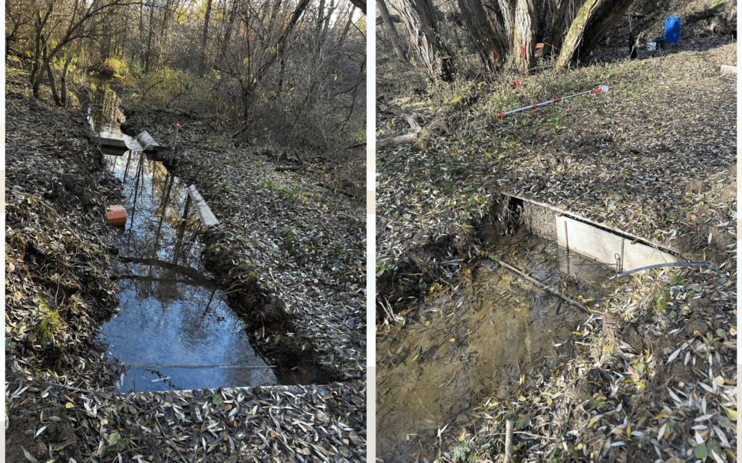 Testing Biofilter to Protect Water Quality from Agricultural Runoff