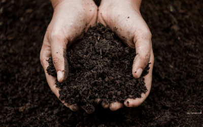 Bridging across Mission Soil projects