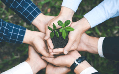 Strengthening Impact Through Communication and Collaboration