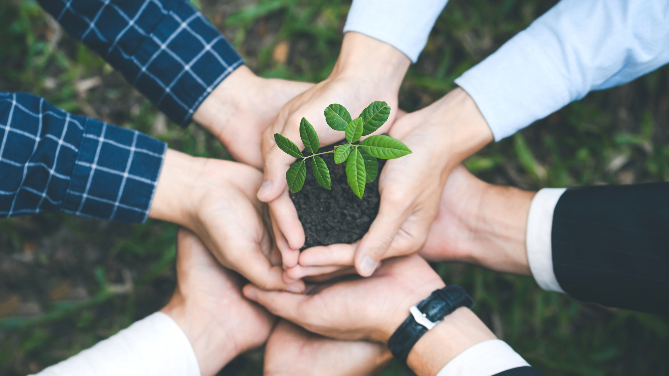 Strengthening Impact Through Communication and Collaboration