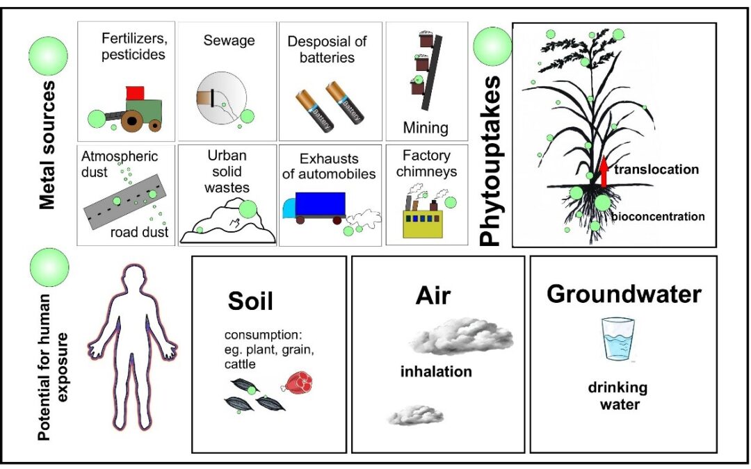 Impact of mining on soil pollution by metals