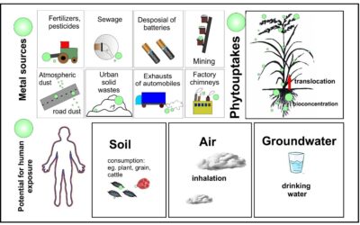 Impact of mining on soil pollution by metals