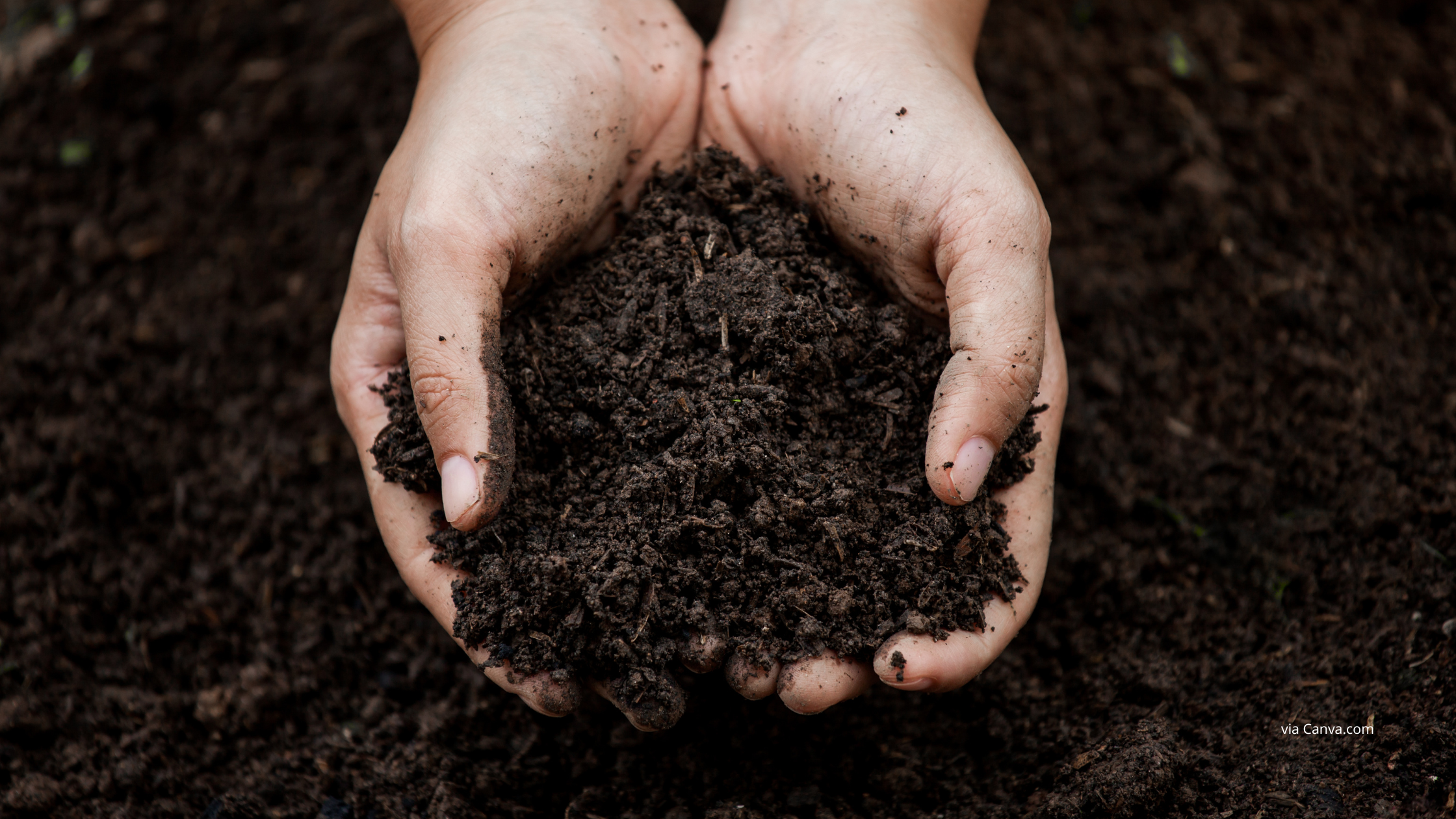Bridging across Mission Soil projects