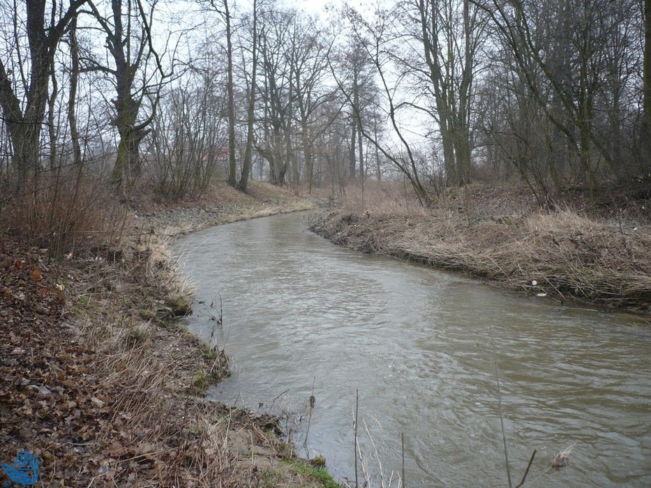 Research update from Poland: Model simulations reveal 35% shift in river-groundwater exchange in the Koprzywianka basin