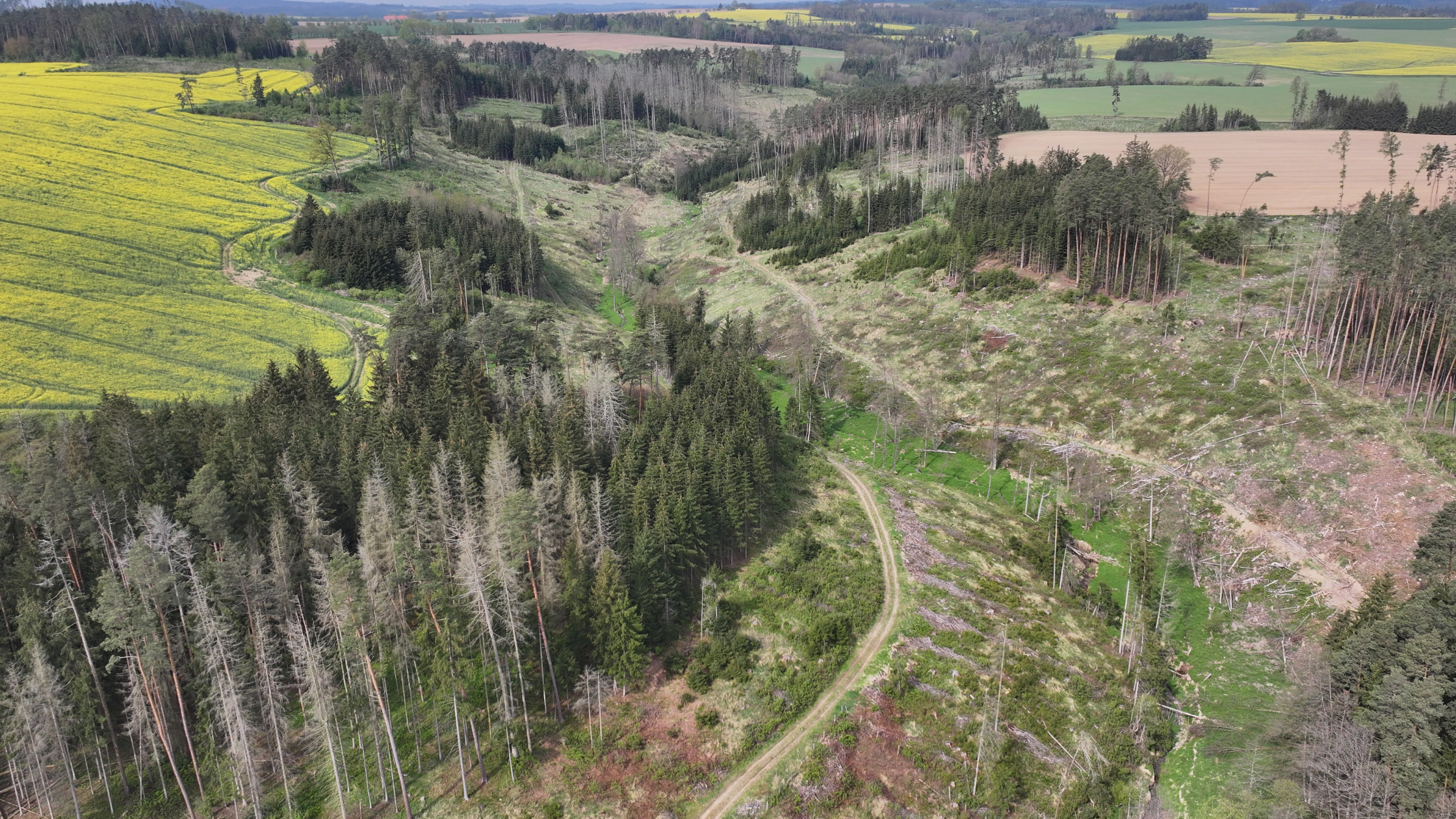 Research update from Czech Republic: Zelivka Basin progresses modelling and monitoring for water quality protection